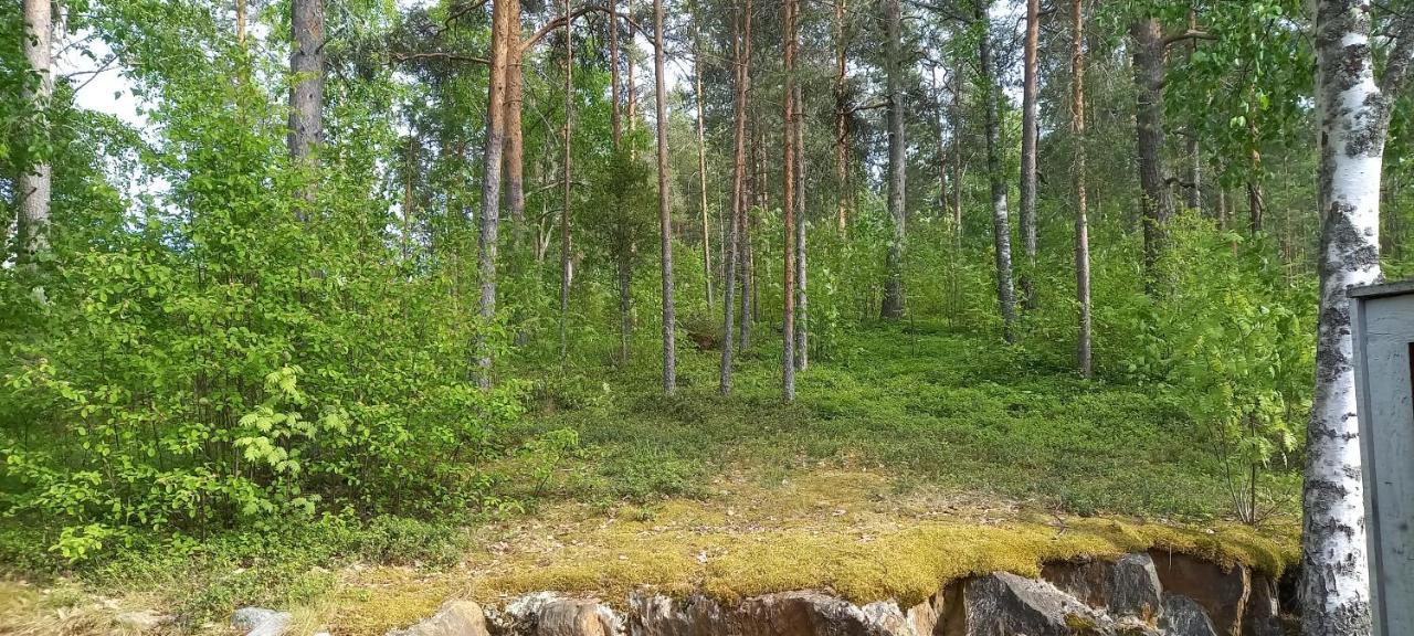 Saimaan Kodikas Apartment Savonlinna Bagian luar foto